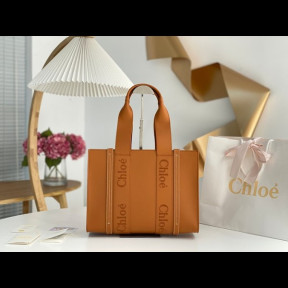 끌로에 chloe 우디백