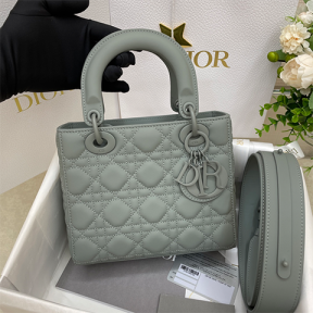 Dior 디올 까나쥬 레이디 백 미니